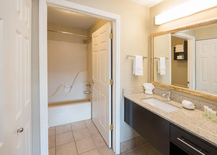 Staybridge Columbus-airport By Ihg Hotel Columbus